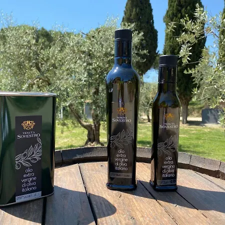 Tenuta Sovestro * San Gimignano