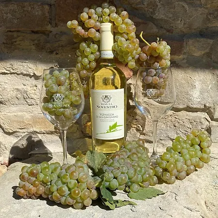 农家乐 Tenuta Sovestro - E Winery 圣吉米纳诺