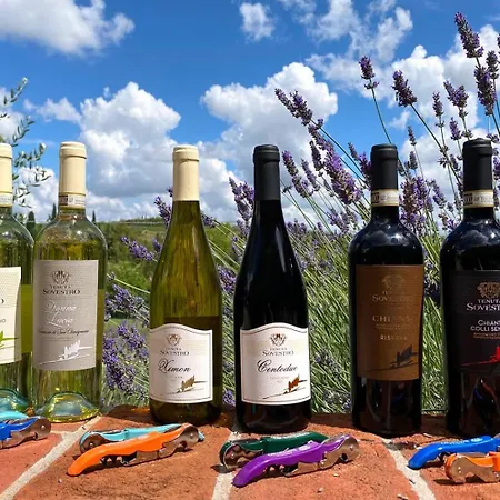 Tenuta Sovestro - E Winery 圣吉米纳诺