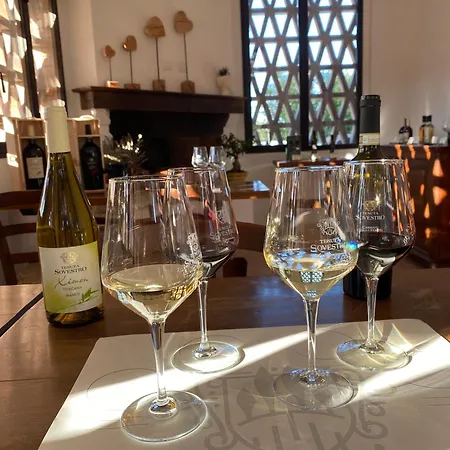 Tenuta Sovestro - E Winery 农家乐